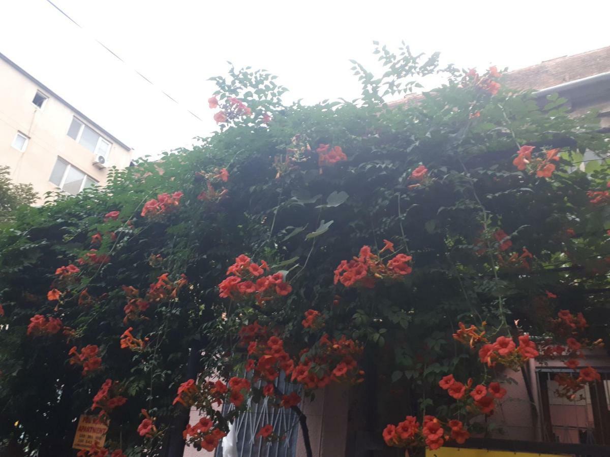 Agmashenebeli95 Aparthotel Tbilisi Exterior foto